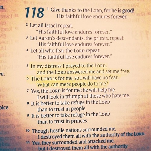 d7005deac3b7218c90fb8d3fc298406b