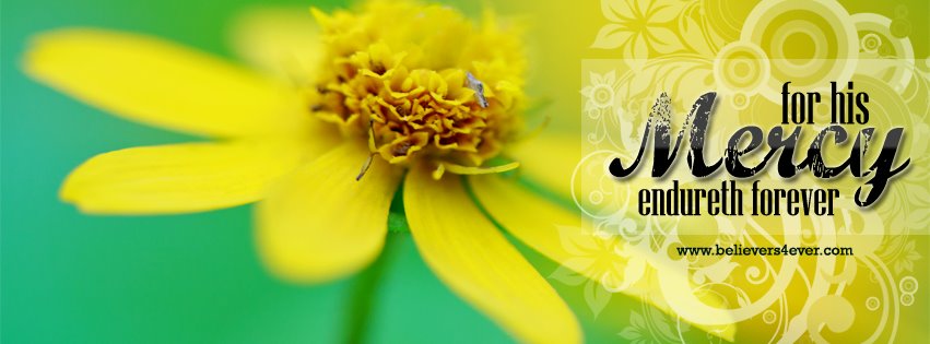 386424_351107024916564_1346863728_n